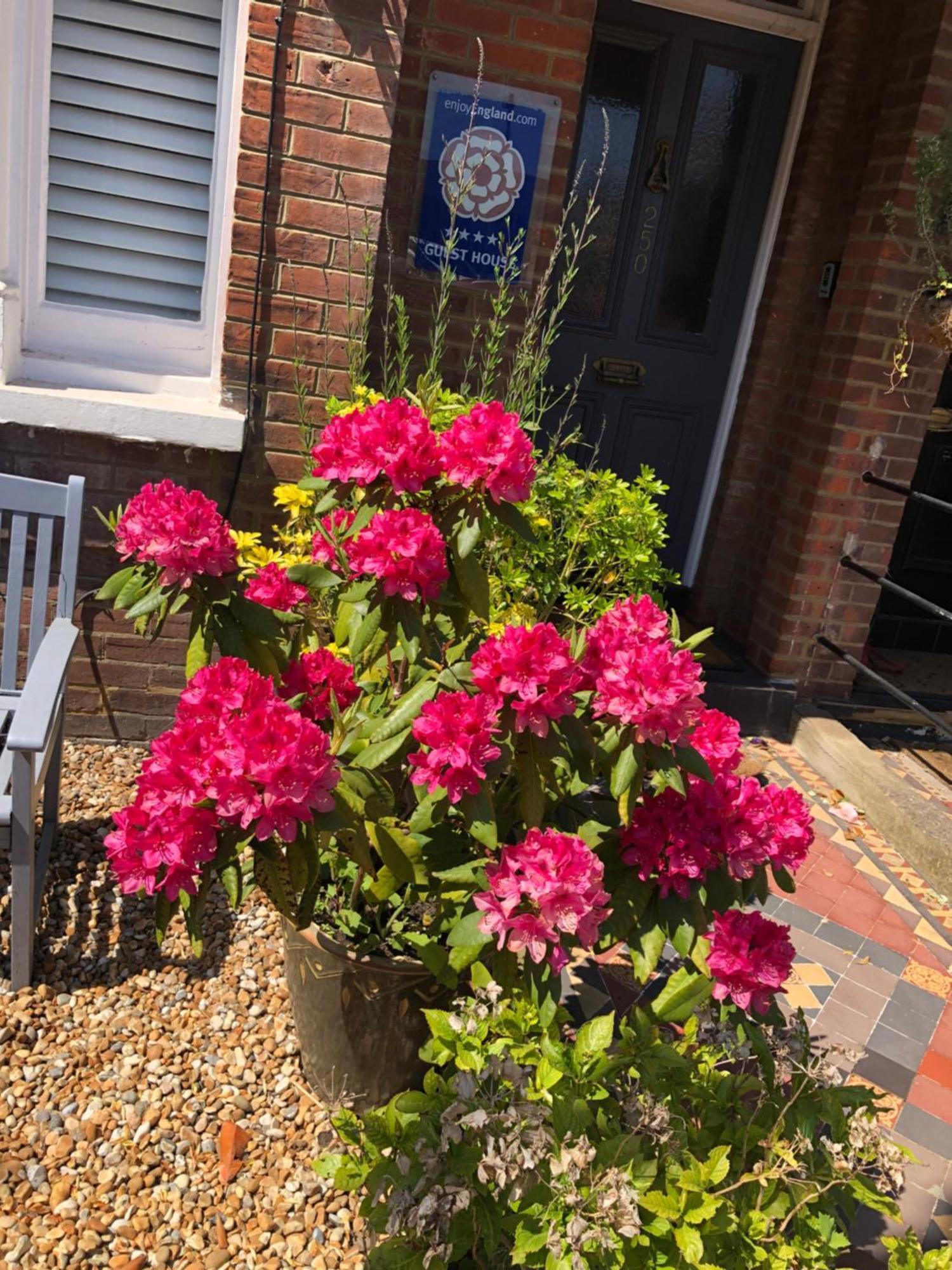 Bed and Breakfast Carena House Canterbury Exterior foto